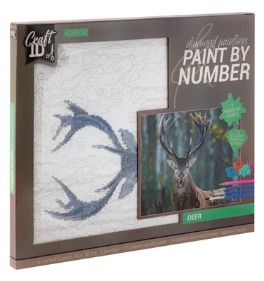 Image de Peinture au diamant cerf 40x50cm