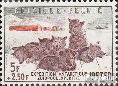 Produktbild von Briefmarken Belgien 1957 Mi 1072 (kompl.Ausg.) postfrisch Geophysikalisches Jahr