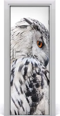 Produktbild von Tulup Türaufkleber 75x205 cm Dekorative Aufkleber Selbstklebend Wasserdichte Tapete Abnehmbar Schlafzimmer Wohnzimmer Wohnkultur - Eule weiße Wand