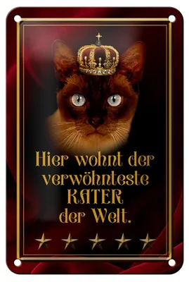 Produktbild von Blechschild Spruch 12x18cm hier wohnt Kater der Welt