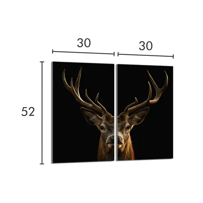 Produktbild von Glasschutzplatte für den Herd 2x30x52 Hirsch