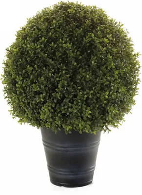 Produktbild von artplants.de Kunst Buchsbaum Tom im Übertopf, crossdoor, 53cm, Ø40cm - Künstlicher Buchsbaum