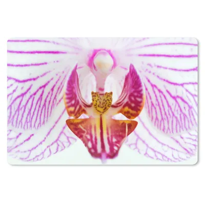 Produktbild von MuchoWow® Mauspad Mousepad Orchidee Detail 27x18 cm - Mousepads - Maus Mat - Pad - Mausunterlage - Büroartikel - Desk Matten