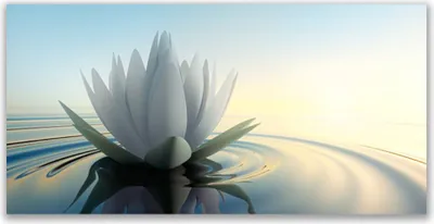 Produktbild von Glasbilder 120x60 Wandbild Druck auf Glas Blume Wasser Kunst