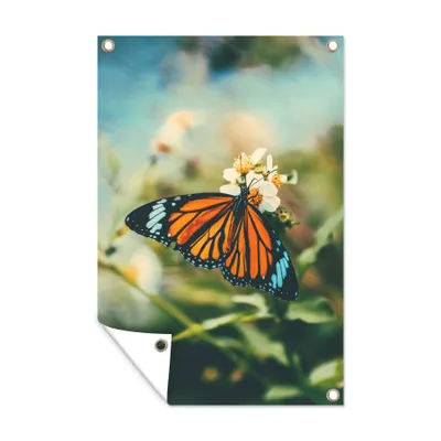 Obrázek produktu pro MuchoWow® Zahradní plakáty - Motýl - Květiny - Zahrada - 90x60 cm - Zahradní dekorace