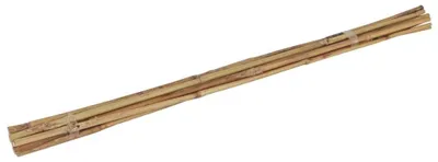 Immagine prodotto di Set di 10 canne di bambù da 60 cm per piante