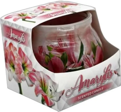 Zdjęcie produktu dla Świeca Miral Bk Powlekana Amarylis Dekoracyjna