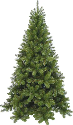 Image de Triumph Tree Tuscan Arbre de Noël artificiel - H185 x Ø109 cm - Vert