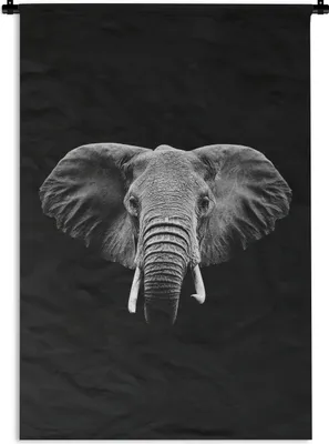 Produktbild von MuchoWow® Wandteppich Wandbehang Elefant auf schwarzem Hintergrund - schwarz und weiß 90x135 cm Tapisserie Dekoration Wandtuch - Baumwolle - Wandskulptur