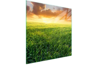 Produktbild von Glasschutzplatte Für Herd 50X52 View