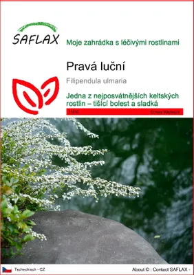 Obrázek produktu pro SAFLAX - Pravá luční - Filipendula ulmaria - 500 Semena