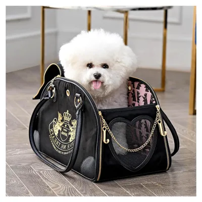 Produktbild von Transporttasche für Haustiere, schwarze Reisetasche für kleine Hunde und Katzen