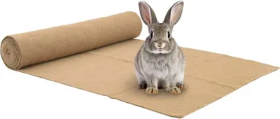 Produktbild von PUEAZU Nagermatte Jute 1x5 m 5 mm - Sonstiges Kleintierzubehör &14956