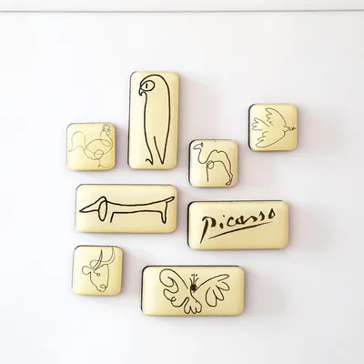 Obrázek produktu pro Nelson Line PICMMS1, mini sada magnetů Picasso, akryl