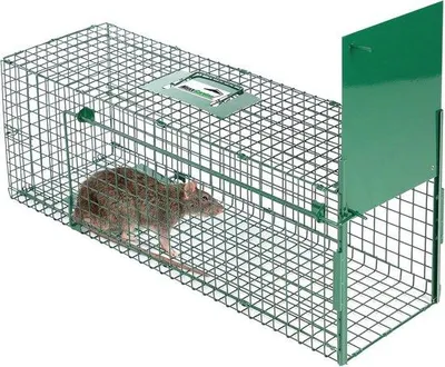 Produktbild von Famanu Fangkoje für Ungeziefer - Lebendfalle für Ratten und Mäuse - Sicher und Zusammenklappbar - 80x25x30cm