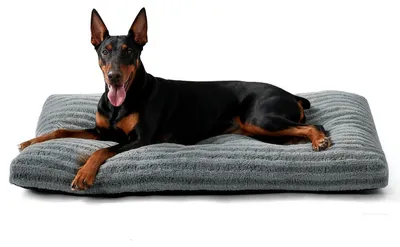 Produktbild von Hundebett XXL Waschbar Flauschig Atmungsaktiv Rutschfest Grau 121x75x11cm