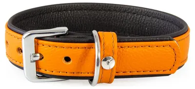 Produktbild von Das Lederband Hundehalsband Denver cognac/schwarz, Länge: 60 cm
