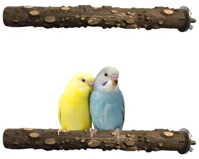 Productafbeelding van Natuurlijke zitstokken voor vogels, 2 stuks, 20 cm, van hout