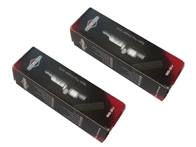 Produktbild von 2X Zündkerze Briggs & Stratton BS-SV 992300 992300C 802592S BS19LM 992040 RJ19LM