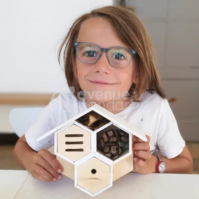 Image de Avenue Mandarine Boîte créative Bug Maison à construire