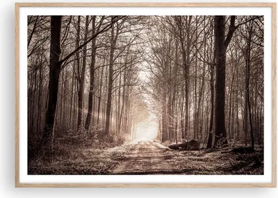 Produktbild von Gerahmtes Poster - Rahmen in heller Eiche - Wald Straße Baum - 100x70 cm - Wand Bild - Wanddeko - Wandbilder - Wandposter - Bilderrahmen - Bilder - Kunstdruck - Wandbild - P2NAA100x70-3620