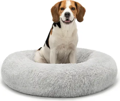 A beagle dog sitting in a round, plush dog bed.