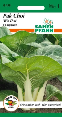 Artikelbild 1 von 'Chinakohl Pak Choi Win Choi F1' aus der Kategorie Chinakohlsamen
