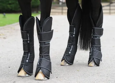 Produktbild von Bucas Transportgamaschen Freedom 4er- Set Black Pony