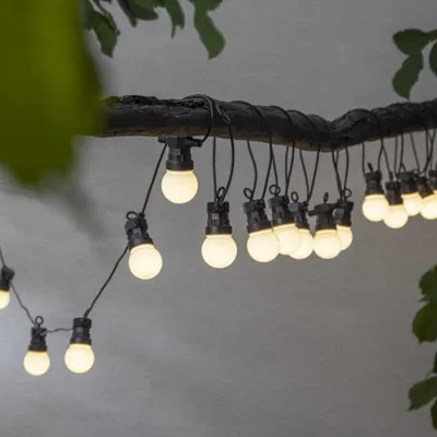 A string of party lights hangs from a tree branch, with green leaves in the foreground.