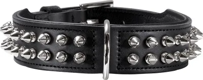 Produktbild von Hunter Halsband Rambo, Größe: 60 cm / Breite: 3,9 cm
