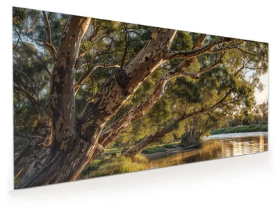 Produktbild von Küchenrückwand Spritzschutz Glas mit Motiv Baum am Flussufer 40 x 40 cm