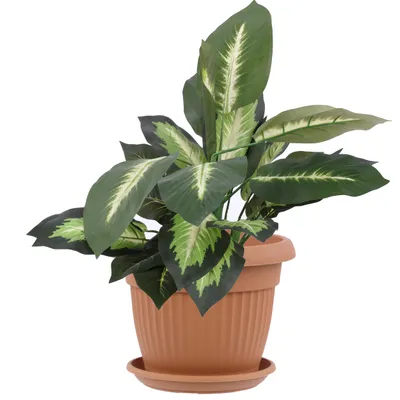 Produktbild von Blumentopf und Untersetzer Rund Übertopf Blumenkasten Abmessungen (DxH) 25 cm x 19,5 cm Volumen 5 L Farbe Terrakotta Kunststoff 12 Große Pflanzkübel traditionell