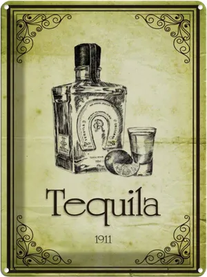 Produktbild von vianmo Blechschild 40x30 cm Alkohol 1911 Tequila