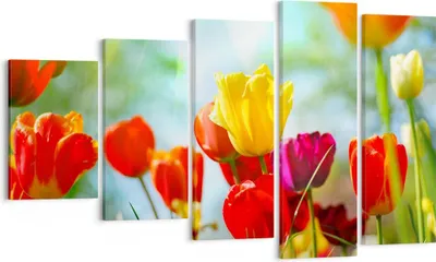 Produktbild von Bild auf Leinwand - Leinwandbild - Tulpe Blume Plantage Wiese - 100x60cm - Wand Bild - Wanddeko - Leinwanddruck - Bilder - Kunstdruck - Wanddekoration - Leinwand bilder - Wandkunst - EG100x60-2566