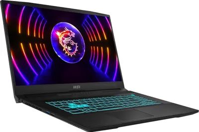 Produktbild von MSI Katana 17 B13VFK 43,9cm (17,3") i7-13620H 16GB 1TB oBS