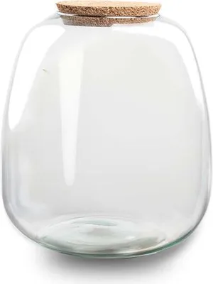 Obrázek produktu pro Terárium ve sklenici Emma - sklenená láhev 25x23cm - dekorativní sklenice pro