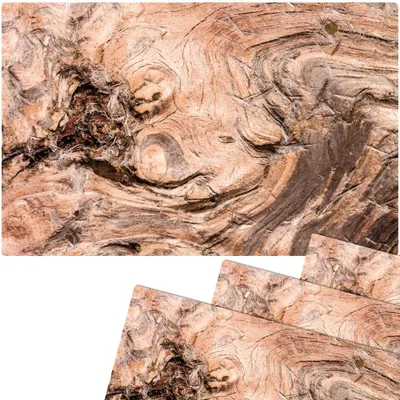 Produktbild von Abwaschbare Tischsets 4er Set Holz-Optik Wurzelholz Struktur