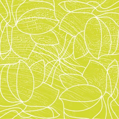 Produktbild von Airlaid Serviette Hugo in Hellgrün, 40 x 40 cm, 50 Stück - Mank