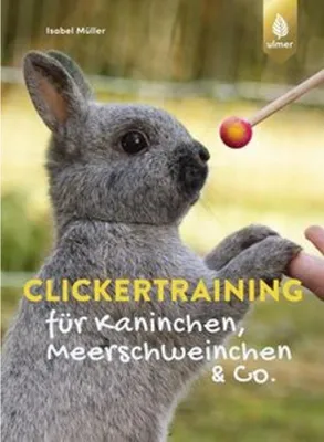 Image de Clickertraining für Kaninchen