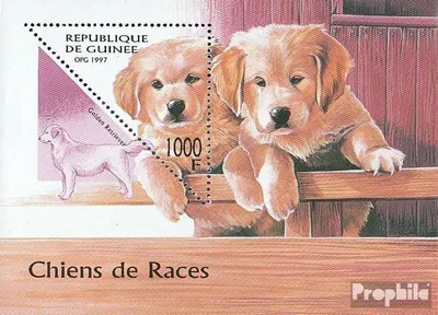 Produktbild von Briefmarken Guinea 1997 Mi Block514 (kompl.Ausg.) postfrisch Hunde