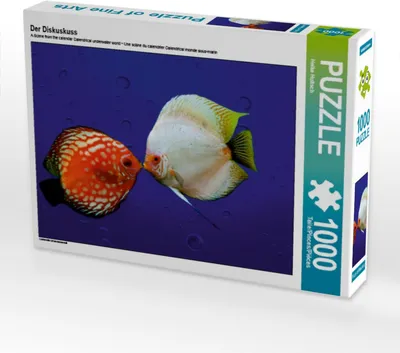 Produktbild von Calvendo Der Diskuskuss 1000 Teile Puzzle quer 640x480mm, Hultsch Heike; 7300072