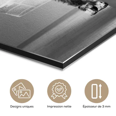 Produktbild von MuchoWow Wanddekoration Metall Metallbild Wandkunst 30x40 cm Schottisches Hochlandrind - WC - Zeitung - Lustig - Tier MuchoWow Aluminium Gemälde - Bilder