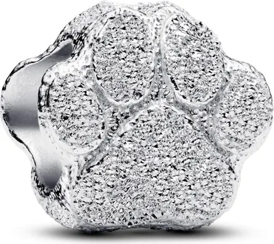 Immagine prodotto di PANDORA MOMENTS Charm Mini Paw Texture 794043C00