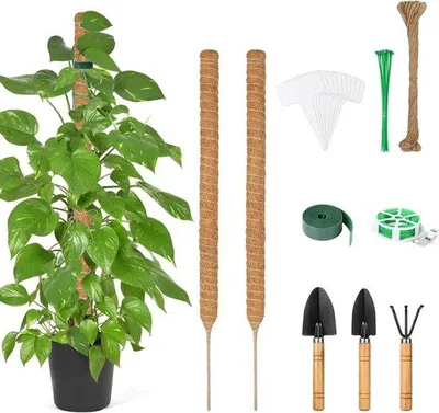 Produktbild von Famanu Pflanzenstützen Set – 4 Kokosfaser-Stäbe 70 cm mit Bindematerial