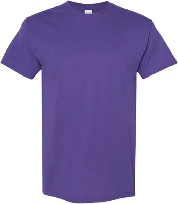 Image de T-shirt Gildan pour homme BC481 (L) (violet)