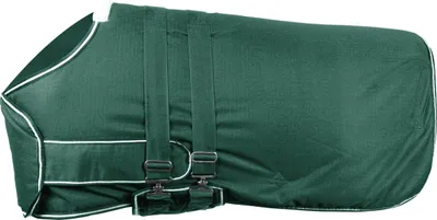 Produktbild von Waldhausen Outdoordecke Fohlen 100g Fohlendecke Tannengrün