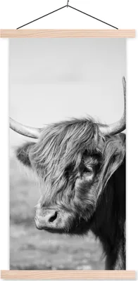Produktbild von MuchoWow® Textilposter Schottisches Hochlandrind - Tiere - Schwarz - Weiß 60x120 cm mit holzfarbenen Rahmen - Holz