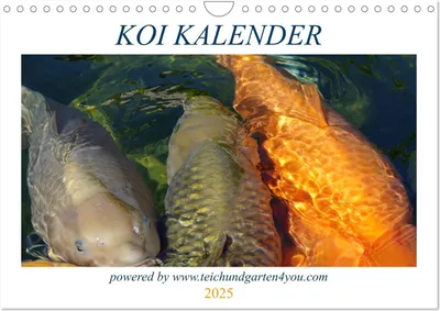 Produktbild von Koikichi Kalender 2025 (Wandkalender 2025 DIN A4 quer), CALVENDO Monatskalender