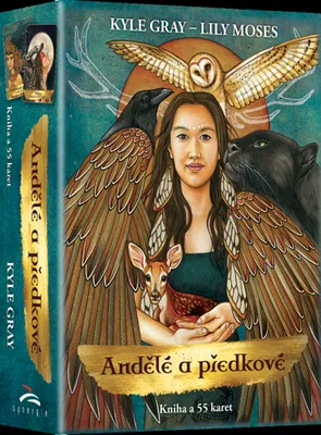 Produktbild von Anjeli a predkovia - Kniha a 55 kariet (matné)