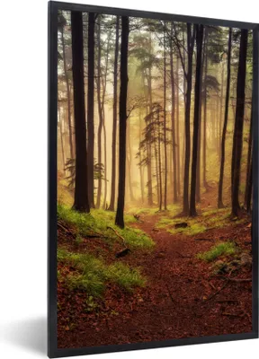 Produktbild von MuchoWow® Gerahmtes Poster Bäume - Natur - Wald 60x90 cm - Poster mit Schwarzem Bilderrahmen Wandposter Rahmen Foto Bilder - Kunst